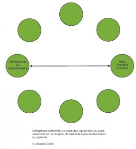 Cycle de domination rectifié par les trigrammes 1-small