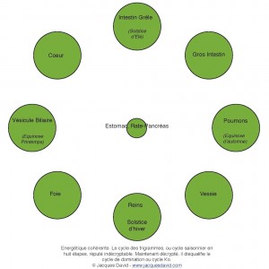 Trigrammes avec organes_square-small